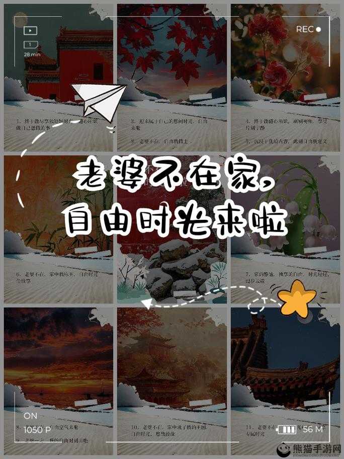 老婆不在家玩的游戏：让你尽享无人打扰的欢乐时光